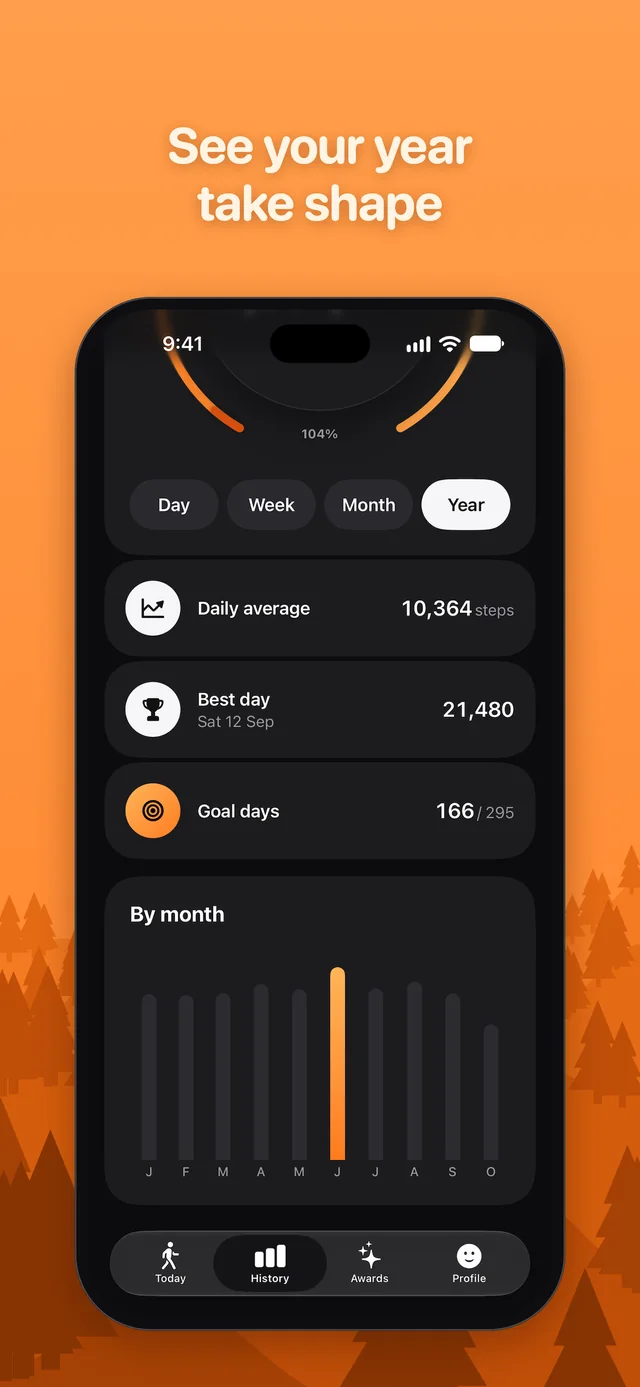 A year of steps in the history view